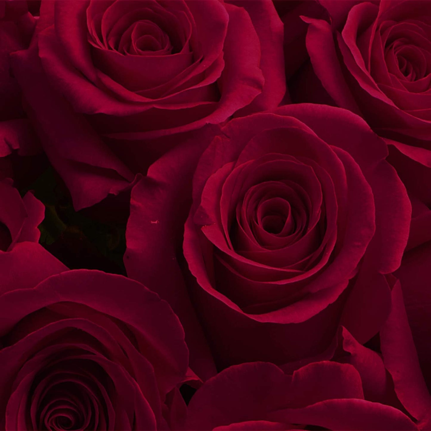 Lux Burgundy Rose Bouquet
