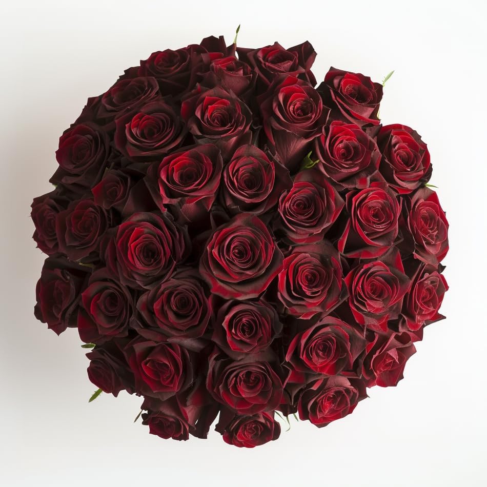 Lux Burgundy Rose Bouquet