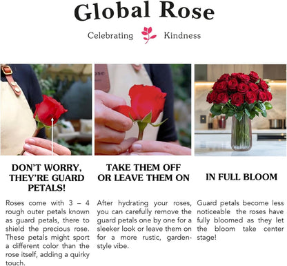 Long-Lasting Pink Rose Bouquet